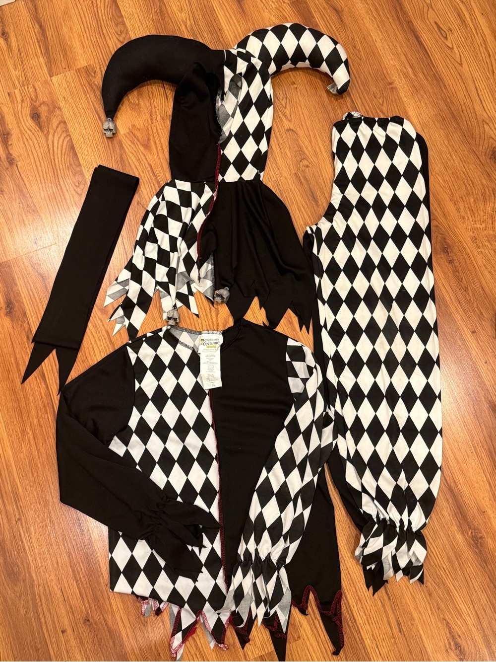 Jester Kids Costume, kid’s L (10-12)